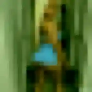 Jolie Ngoné, 23 ans à Eecke - voir sa photo