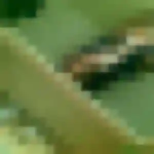 plan cul à Éloyes : photo de Louna, 34 ans - inscription gratuite