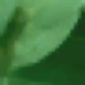 Félicité (42 ans) à Épinal cherche une rencontre ce soir