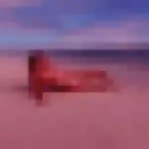 Rencontre Neneh, 31 ans à Erquery en t'inscrivant