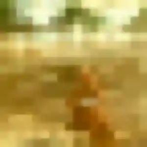 Rencontre Wilda, 24 ans à Erquery gratuitement