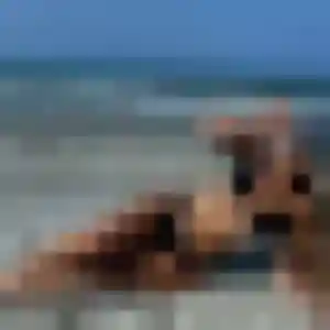 Jolie Émeline, 39 ans à Escoville - la contacter