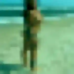 Ornella, femme de 26 ans cherche plan cul à Espondeilhan