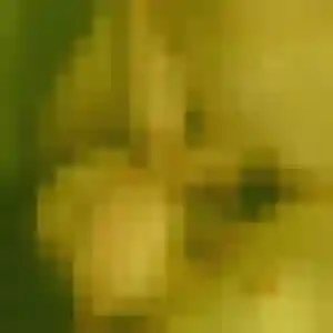 Dienaba, 29 ans, en ligne à Estancarbon pour une rencontre coquine