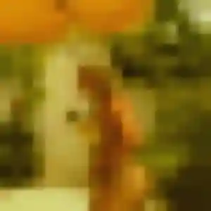 Photo de Rebecca à Estevelles (41 ans) - plan cul anonyme
