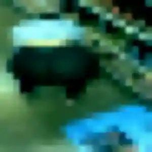 Photo de Audrey à Estrées (42 ans) - plan cul gratuit