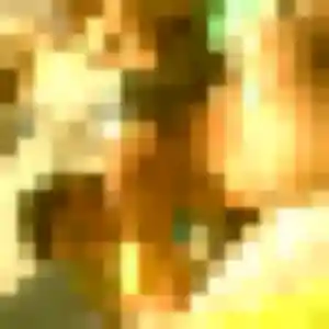 Photo privée de Shérazade, 26 ans à Esvres - rencontre coquine