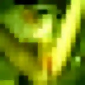 Profil de Dado à Étampes (39 ans) - plan cul sans inscription