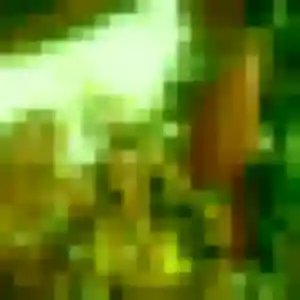 plan cul à Étaples : photo de Kafui, 33 ans - sans engagement