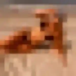 Mbène de Étoutteville, 36 ans - plan cul discret