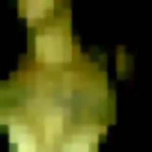 Rencontre Salomé, 27 ans à Étreillers en privé