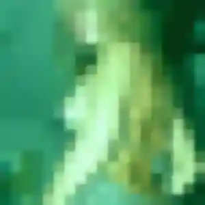 Dieynaba (22 ans) à Étretat attend un plan cul aujourd'hui