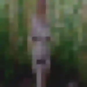 Rencontre Adjoavi, 38 ans à Évans gratuitement