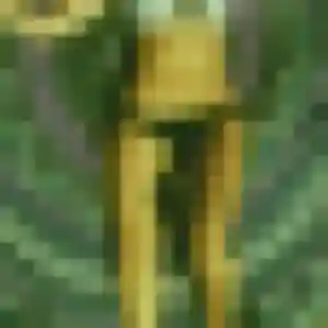 Rejoins Lilou, 36 ans à Évreux gratuitement