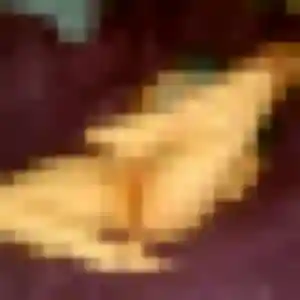 Nicole, 36 ans, dispo pour plan cul à Fatines