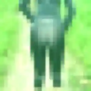 Déborah de Faverolles-sur-Cher, 44 ans - plan cul en toute liberté