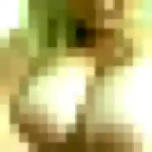 Sexy Zara, 42 ans à Feldkirch - voir sa photo