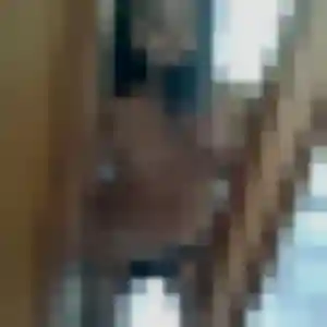 Jolie Nassira, 29 ans à Felletin - la contacter