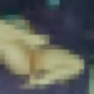 Sixtine, 45 ans, dispo pour plan cul à Ferrière-la-Petite