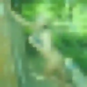 Assétou, 33 ans, veut un plan cul à Feugarolles