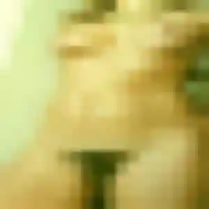 Sira, 34 ans, connectée à Feuquières-en-Vimeu pour une rencontre coquine