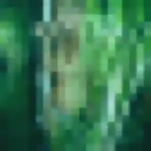 Jolie Régine, 30 ans à Figeac - découvrir son profil