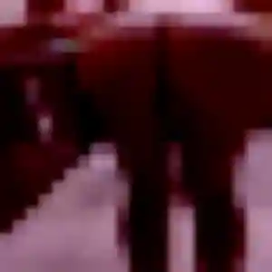 Touty, 36 ans, dispo pour plan cul à Flers-en-Escrebieux