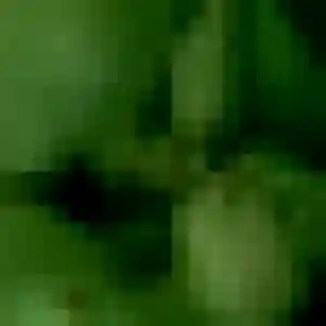 Yaa, femme de 24 ans cherche plan cul à Flers