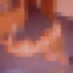 Prisca, 32 ans, en ligne à Fleurie pour une rencontre coquine