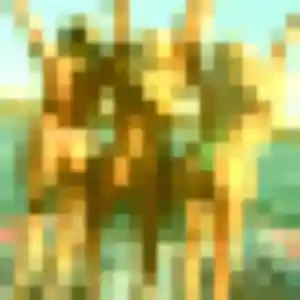 Shade, 25 ans, en ligne à Florange pour une rencontre coquine