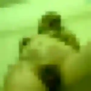 Photo privée de Maëlys, 45 ans à Folgensbourg - rencontre sans lendemain