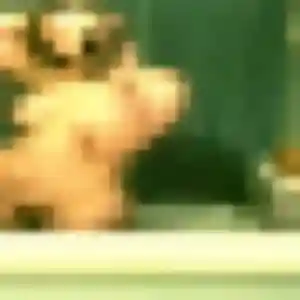 Sonia, 31 ans, cherche un plan cul à Folgensbourg