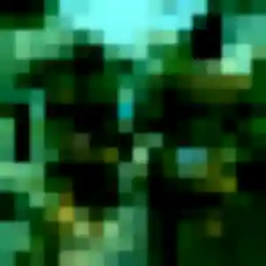 Photo privée de Djeneba, 33 ans à Fondettes - rencontre sans lendemain