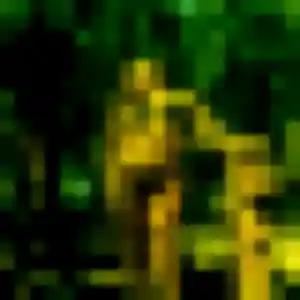 Photo exclusive de Élise, 27 ans à Fontaine-au-Bois - plan discret
