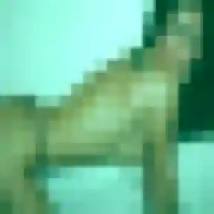 Sexy Yaa, 23 ans à Fontaine-le-Dun - voir sa photo
