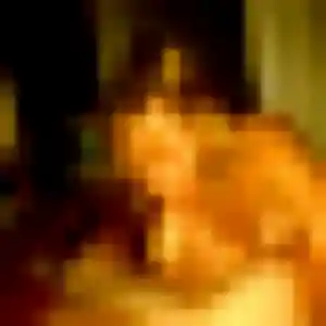 Photo de Aliyah à Fontaine-Mâcon (25 ans) - plan cul anonyme