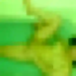 Belle Kaddy, 22 ans à Fontainebleau - voir sa photo