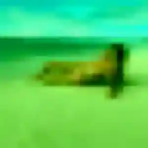 Découvre Saly, 40 ans à Fontevraud-l'Abbaye gratuitement