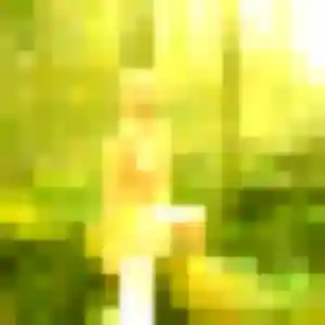 Découvre Latifa, 28 ans à Foulbec en privé