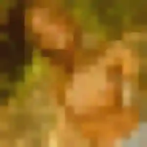 Nyima (33 ans) à Fourques propose un plan cul aujourd'hui