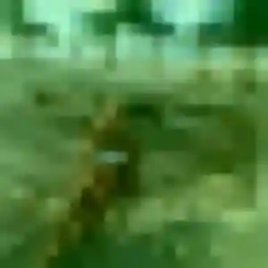 Belle Salamata, 30 ans à Friesen - voir sa photo