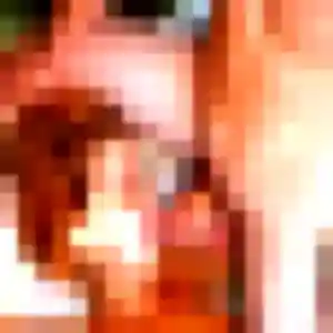 Belle Safi, 33 ans à Froidfond - la contacter