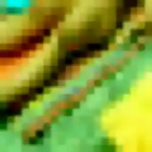 Sandy, 24 ans, en ligne à Fronsac pour une rencontre coquine