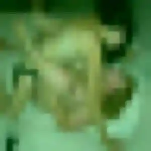 Georgette, 22 ans, dispo pour plan cul à Frozes