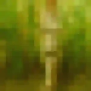 Modupe, 42 ans, connectée à Frozes pour une rencontre coquine