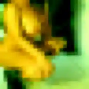 Chioma, 35 ans, cherche un plan cul à Galan