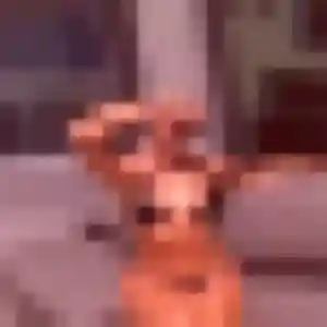 Cassandra, 45 ans, veut un plan cul à Garennes-sur-Eure