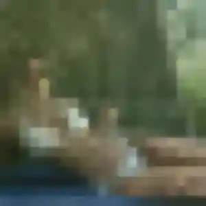 Amara (37 ans) à Gargenville attend une rencontre ce soir