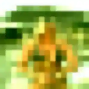 plan cul à Gaye : profil de Céline, 26 ans - accès libre