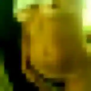Ursula, 35 ans, cherche un plan cul à Gellainville